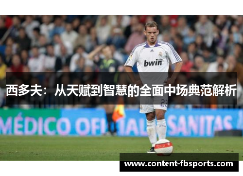 西多夫：从天赋到智慧的全面中场典范解析