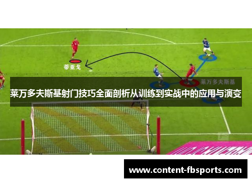 莱万多夫斯基射门技巧全面剖析从训练到实战中的应用与演变