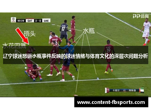 辽宁球迷怒砸水瓶事件反映的球迷情绪与体育文化的深层次问题分析 辽宁球迷怒砸水瓶事件反映的球迷情绪与体育文化的深层次问题分析